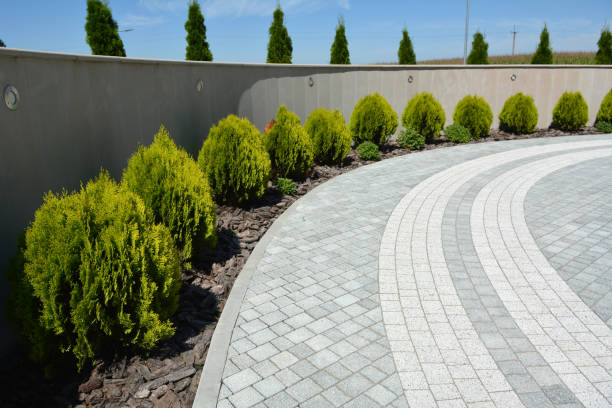 Best Local Driveway Pavers  in Maywood, IL